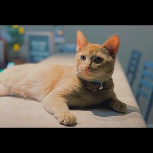 Meet your Posher, Jenna